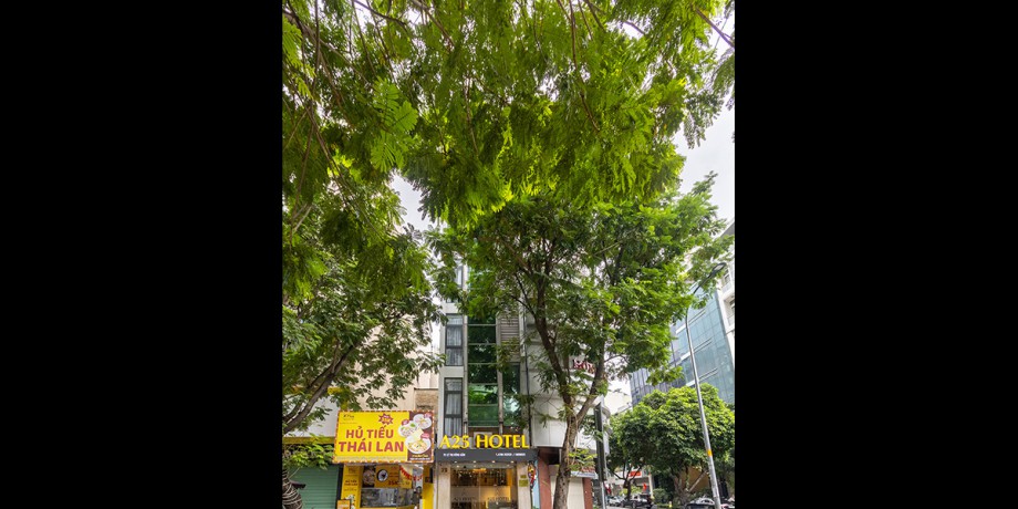 75lethihonggam (8).jpg